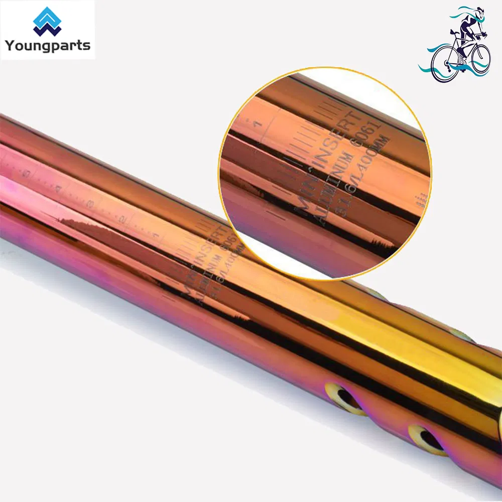 Youngparts Mountain Bike Seatpost Dropper Bicycle Seatpost Manufacturer Aero Carbon Seatpost